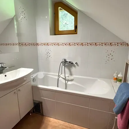 Apartman Harmony Rogla - Zreče