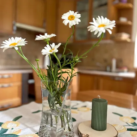 Apartman Harmony Rogla -