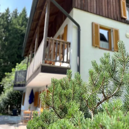 Harmony Rogla - Appartement