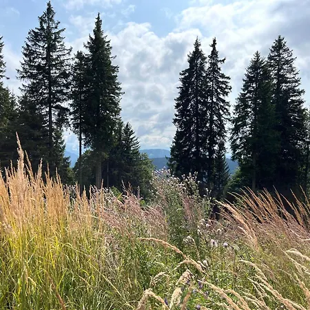 Apartamento Harmony Rogla - *