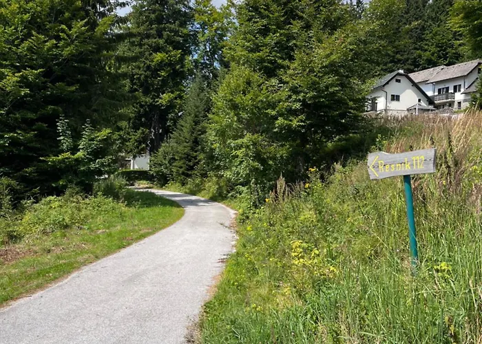 Harmony Rogla - Lejlighed Zreče