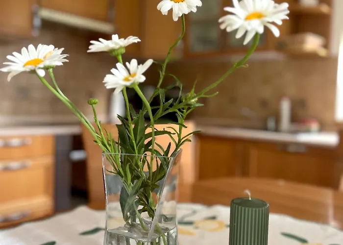 Lejlighed Harmony Rogla -