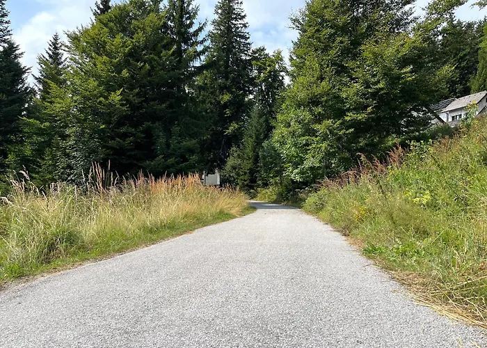 Harmony Rogla - Lejlighed *