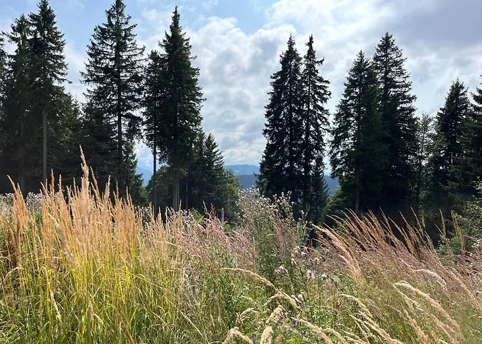 Lejlighed Harmony Rogla - *